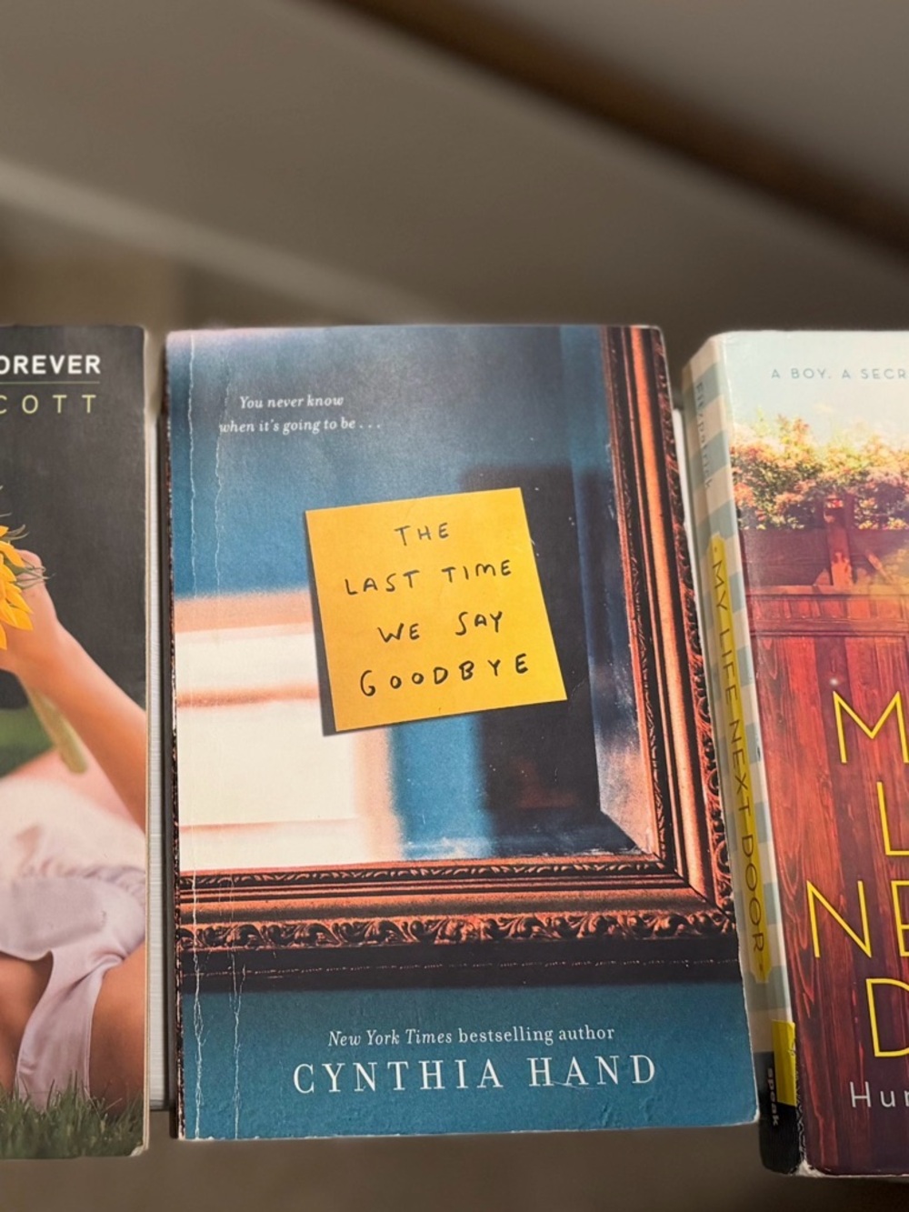 The Last Time We Say Goodbye by Cynthia Hand- Paperback Book